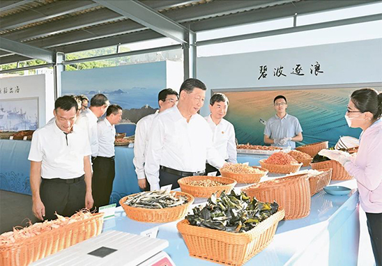 微信图片_20241108093306.jpg