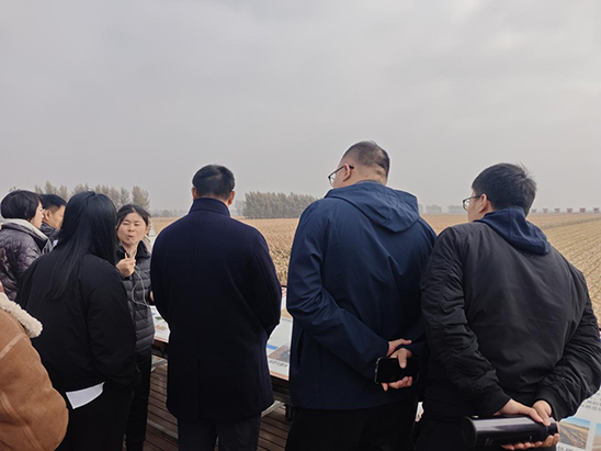 图片28.jpg