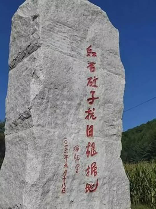 图片3 拷贝.jpg