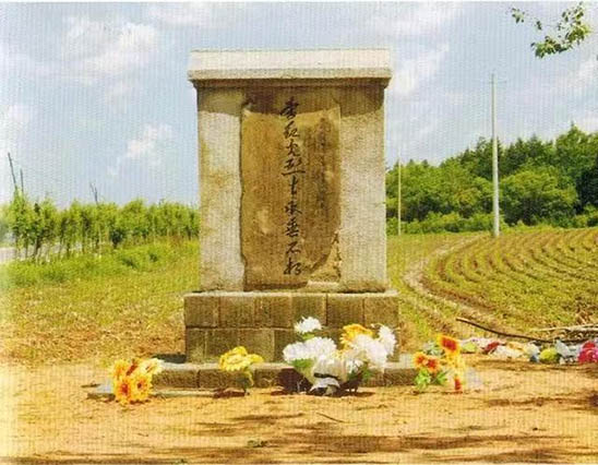 图片10 拷贝.jpg