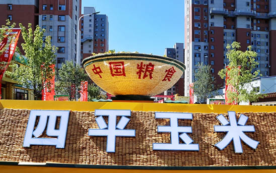 39 拷贝.jpg