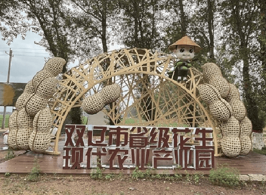 51 拷贝.png