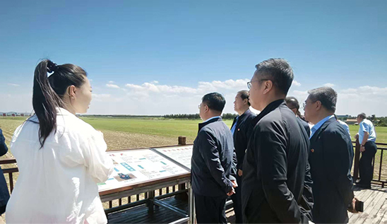 图片9.jpg